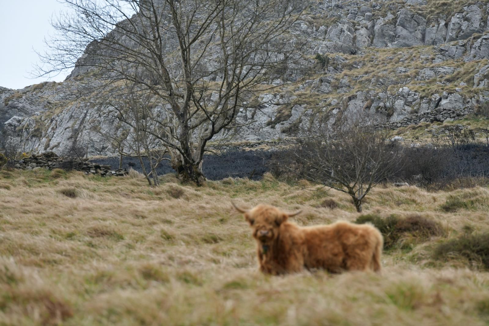 El monte Hernio, a vista de dron tras el incendio