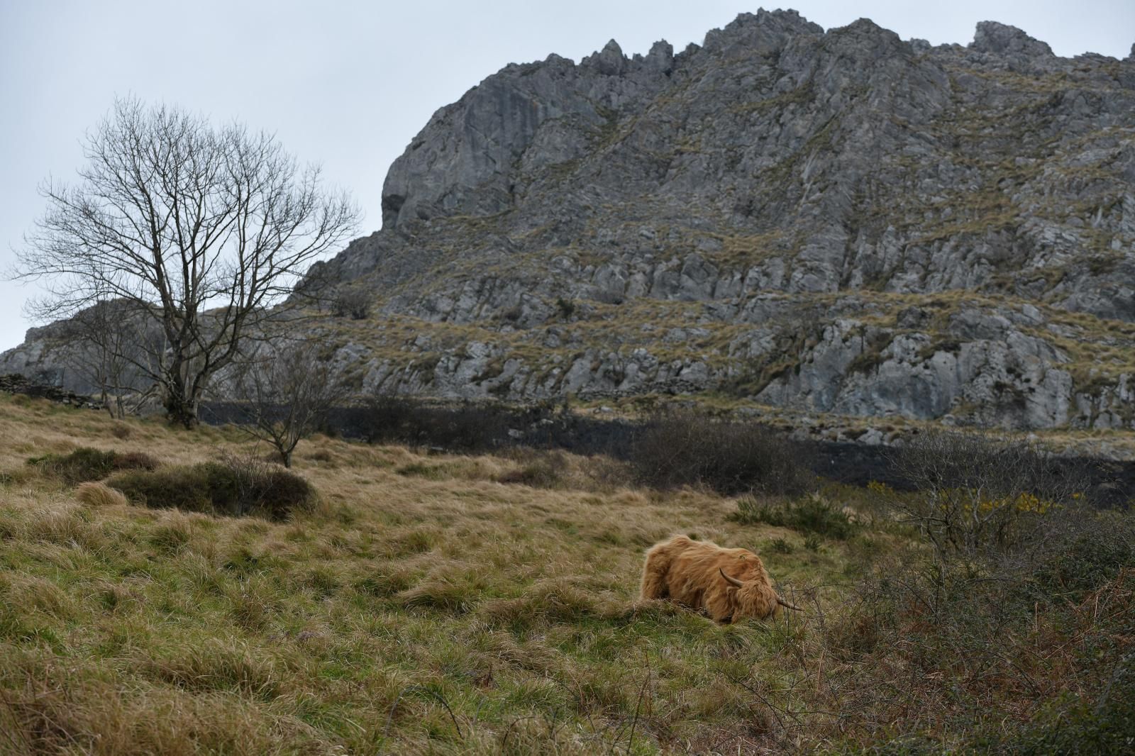 El monte Hernio, a vista de dron tras el incendio