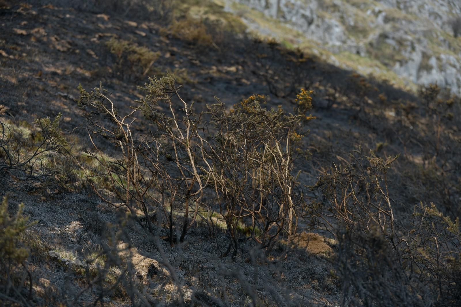 El monte Hernio, a vista de dron tras el incendio