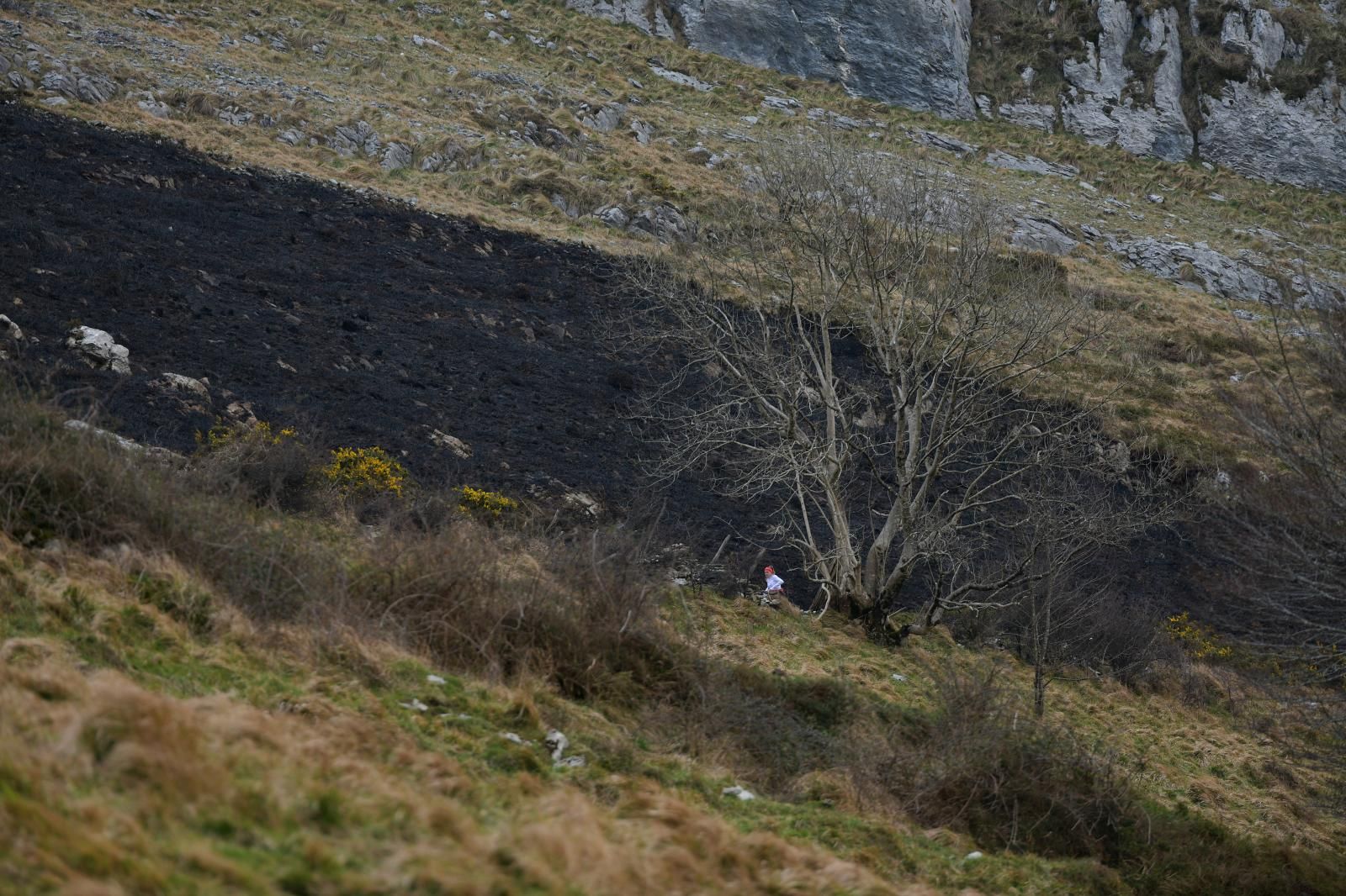 El monte Hernio, a vista de dron tras el incendio