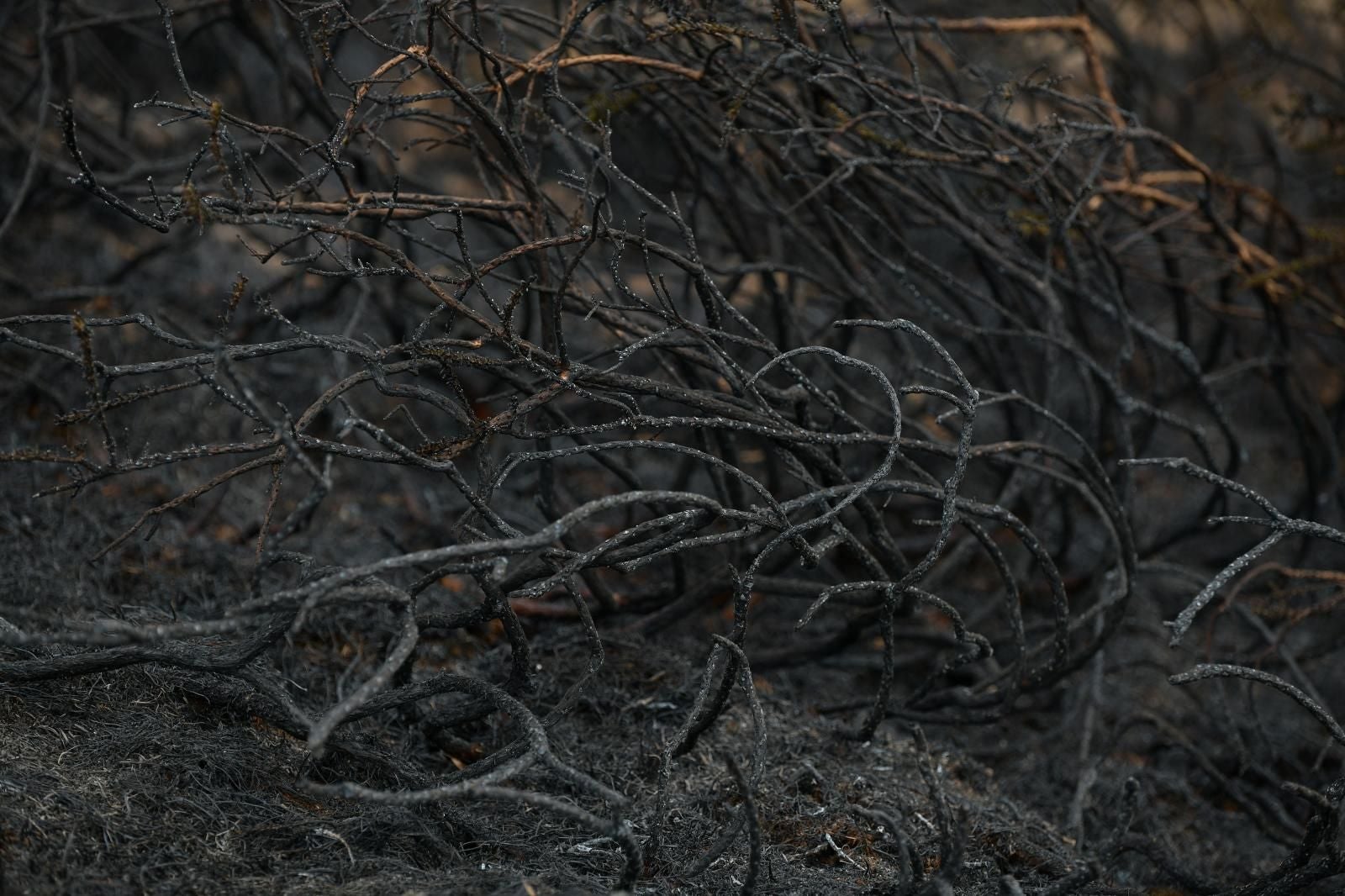El monte Hernio, a vista de dron tras el incendio
