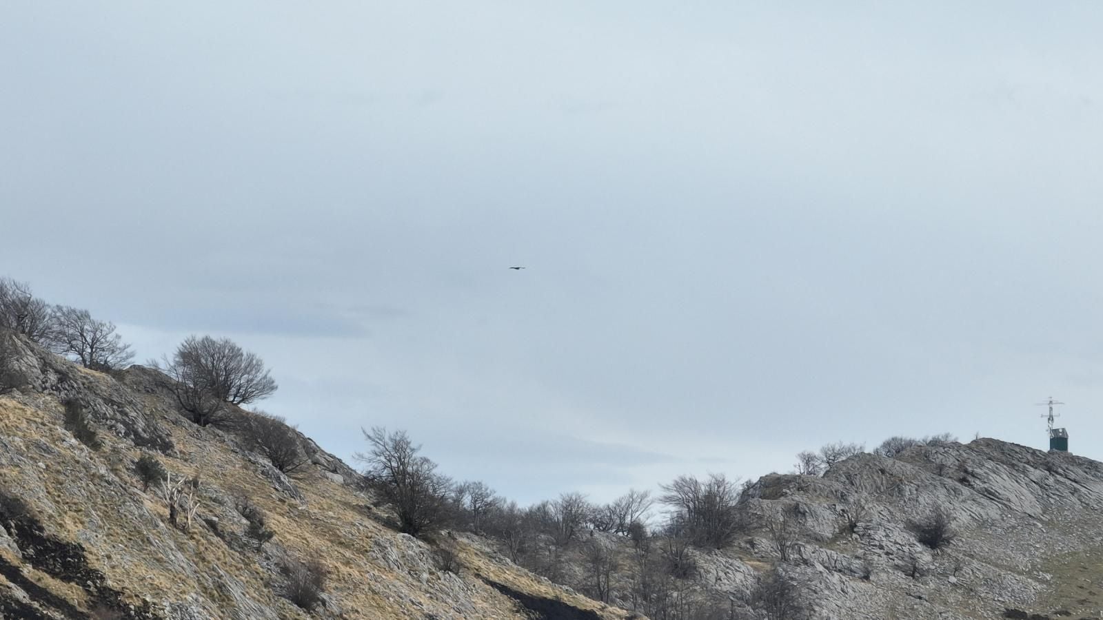 El monte Hernio, a vista de dron tras el incendio