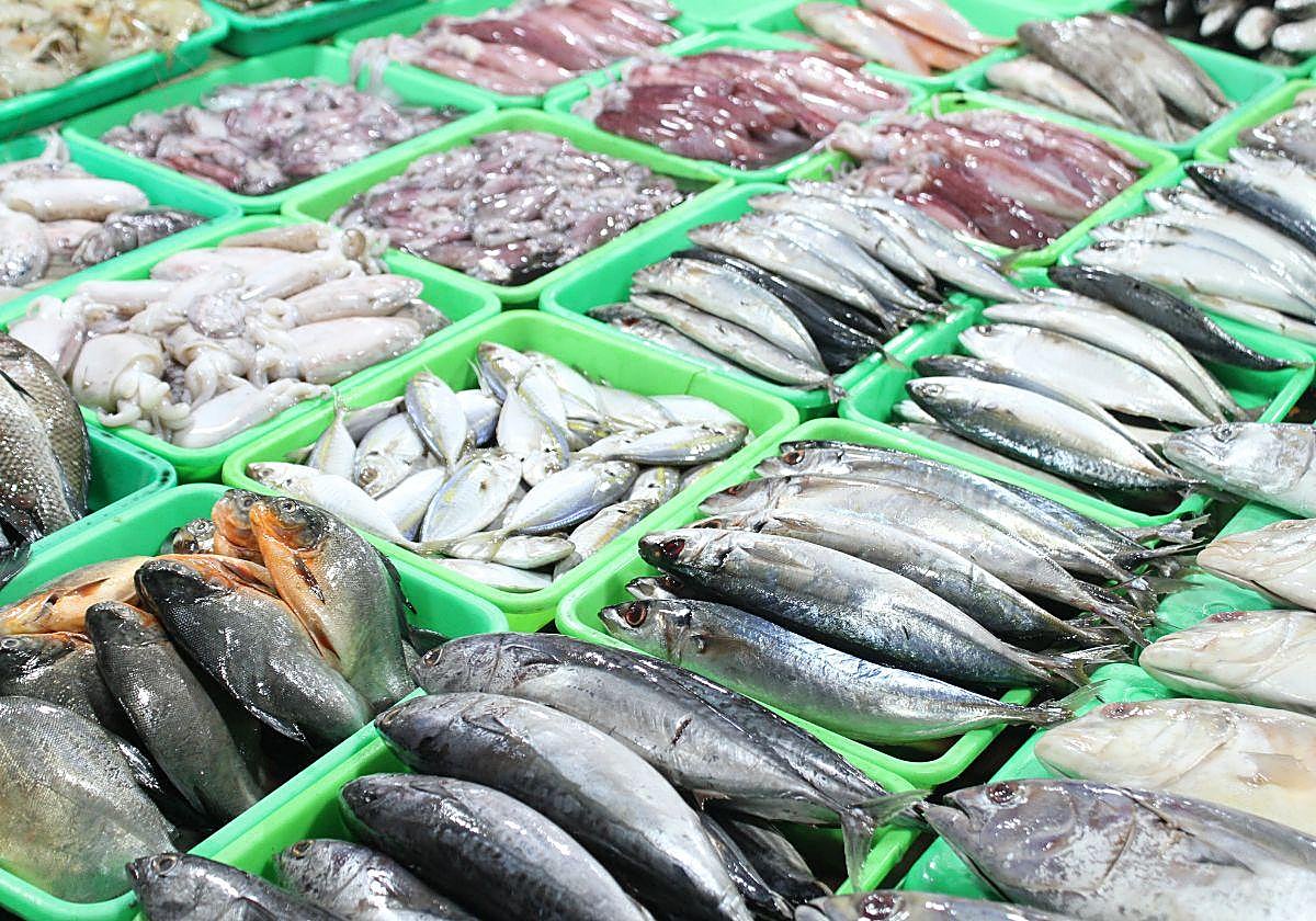 Vista de una pescadería