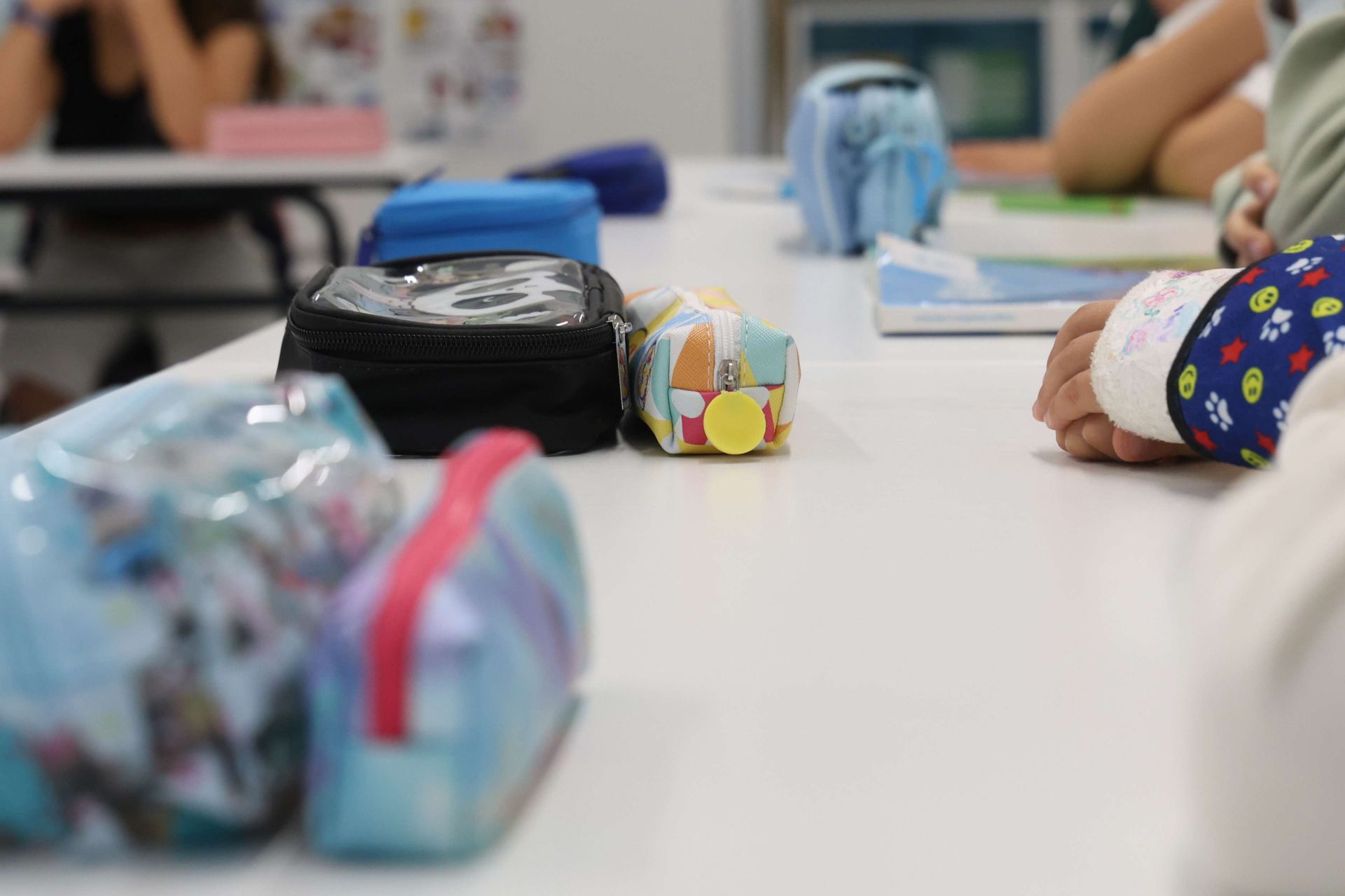 PNV, PSE y EH Bildu acuerdan «actualizar» el mapa escolar del sistema educativo vasco