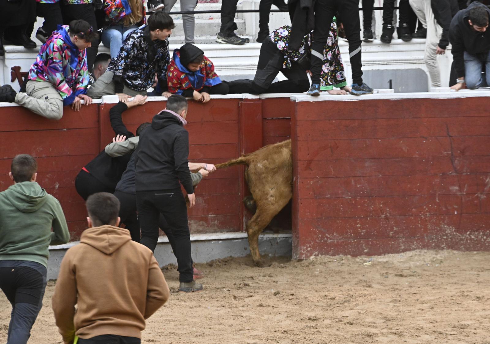 No faltaron las vaquillas en Tolosa