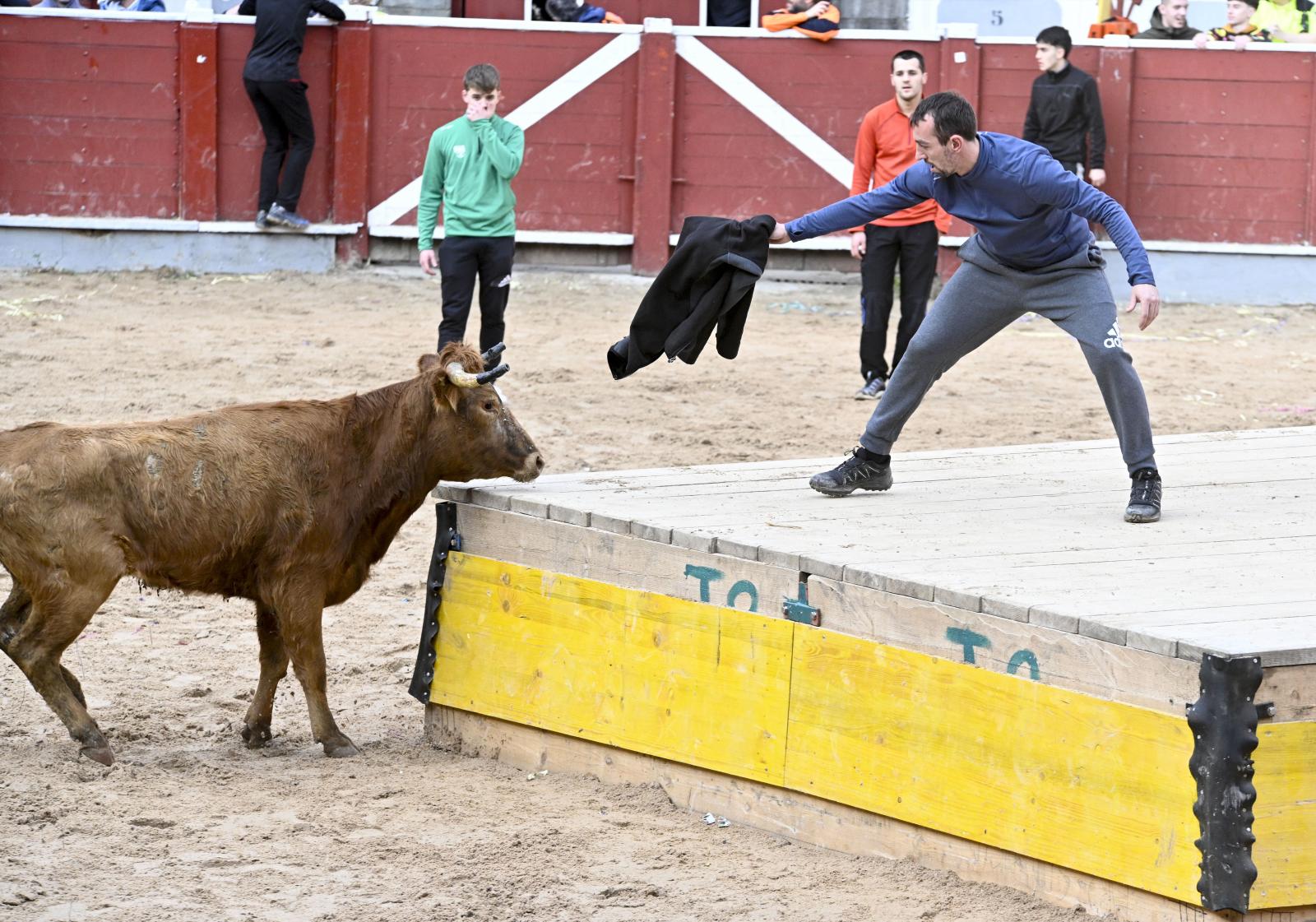 No faltaron las vaquillas en Tolosa