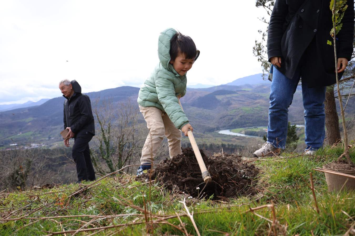 Un árbol, un deseo