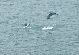 Espectáculo. Pakito acaparaba las miradas de todos los paseantes de La Concha con sus saltos.