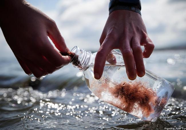 Recogida de muestras para el estudio en Donostia
