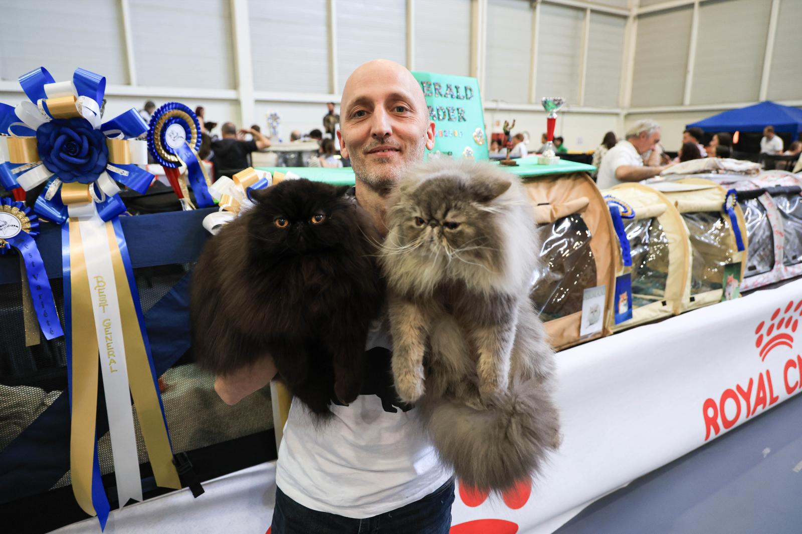 Exposición Internacional Felina en Irun