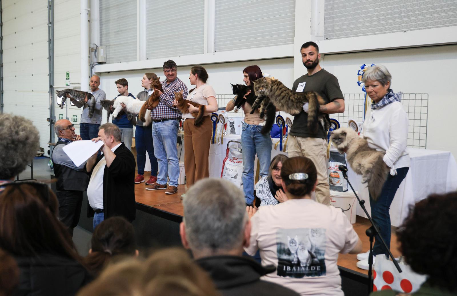 Exposición Internacional Felina en Irun