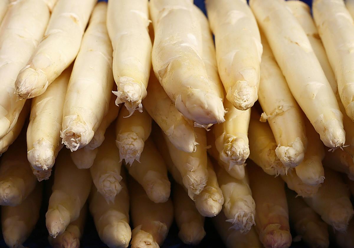 ¿Cómo cocer los espárragos blancos?