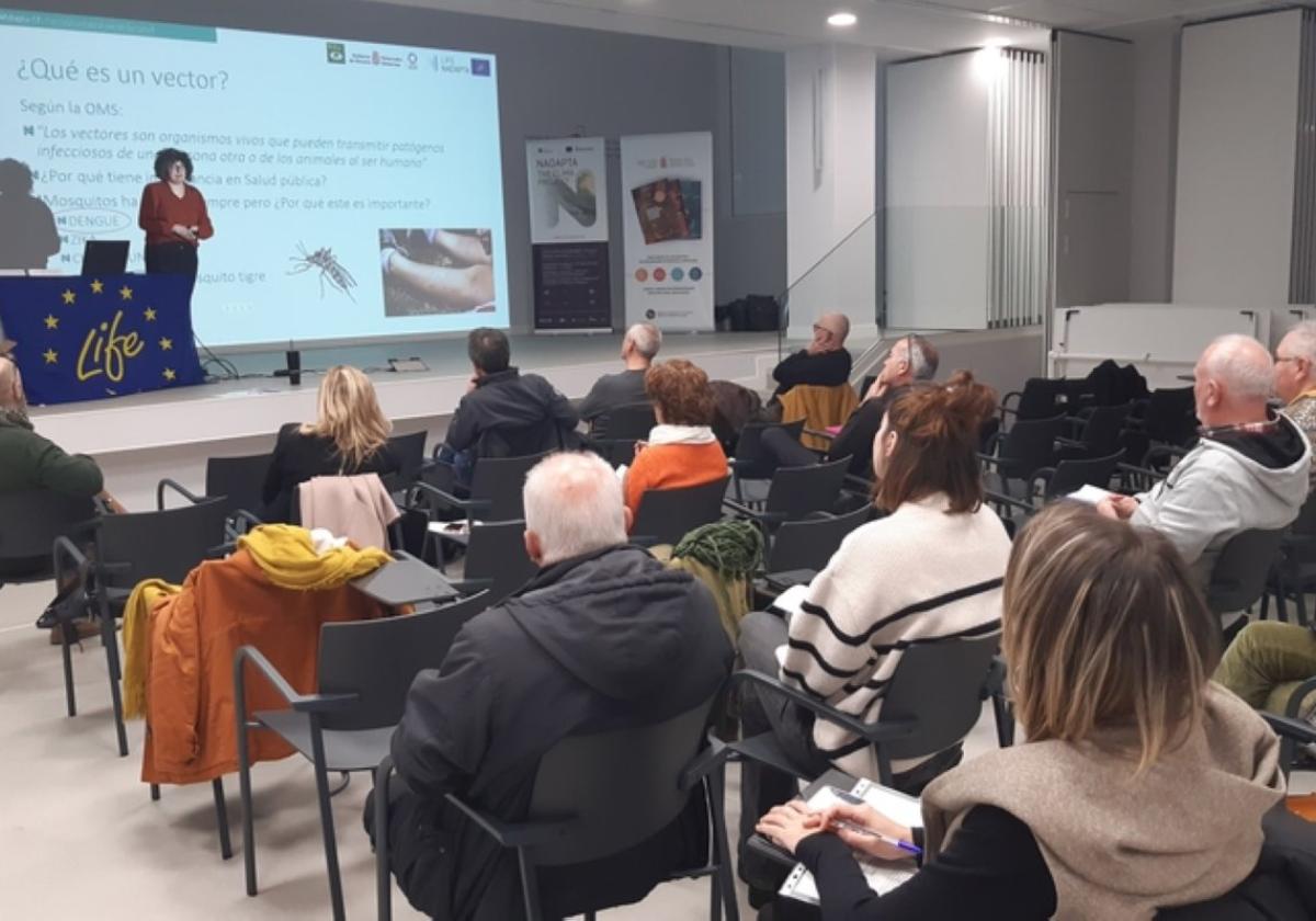 Comienza una nueva campaña de vigilancia y control del mosquito tigre
