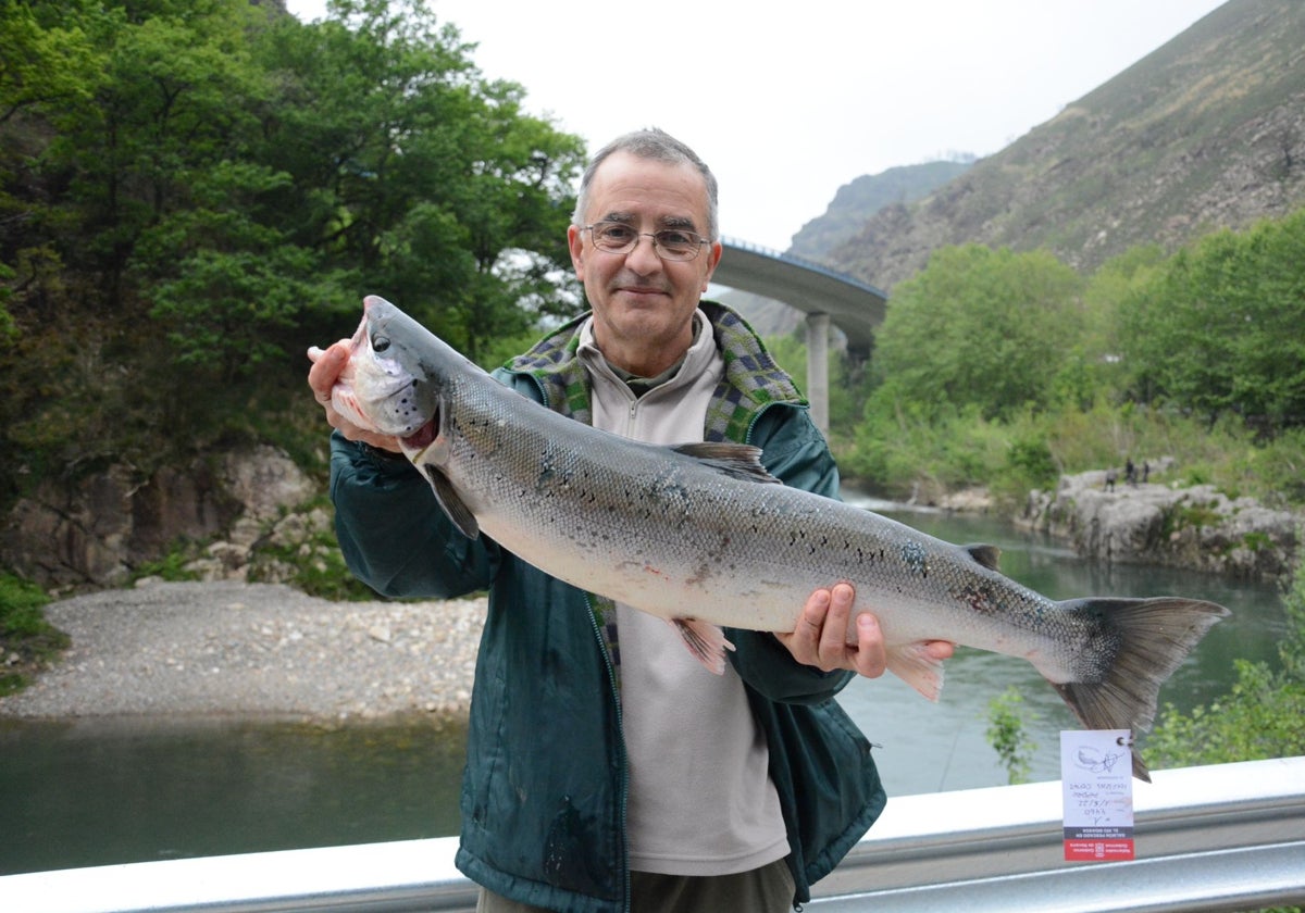 Navarra mantiene por tercer año la veda a la pesca del salmón en el Bidasoa
