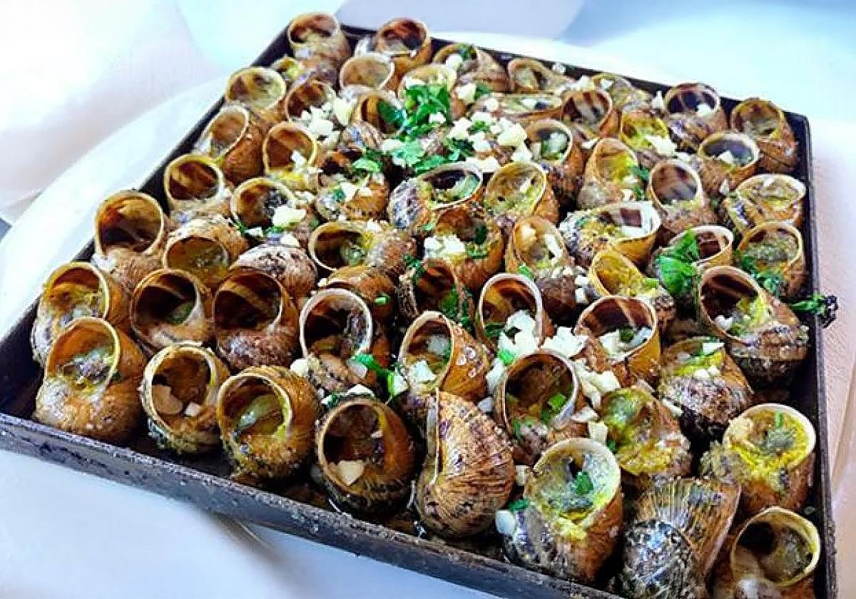 ¿Es saludable comer caracoles?