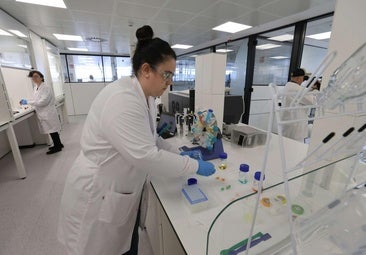 Ikerbasque atrajo más de 47 millones de euros en fondos a Euskadi en 2024