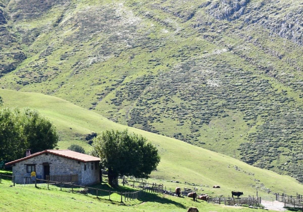 Bederatzi txabolen erabilera hamar urterako lizitatuko du Enirio Aralarko Mankomunitateak.