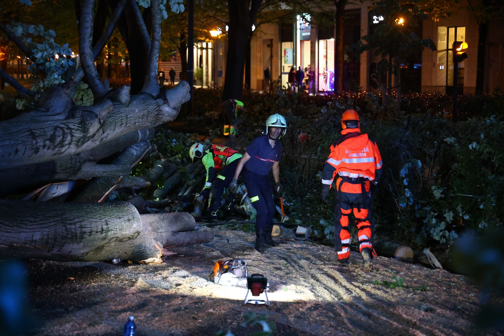 Las imágenes del árbol caído en El Antiguo