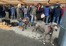 Estela Olmedo, a la izquierda y Marilén Muro, a la derecha, con sus perros Basati Alaunt.