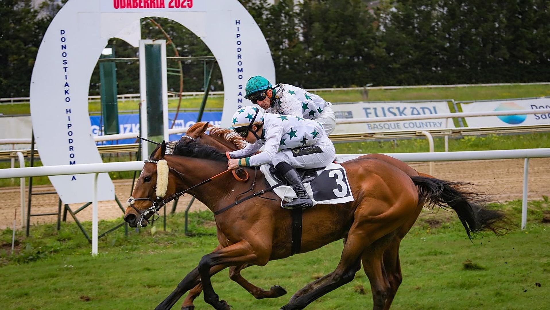 Arizkorreta: Victory Fuels Continued Reforestation Efforts