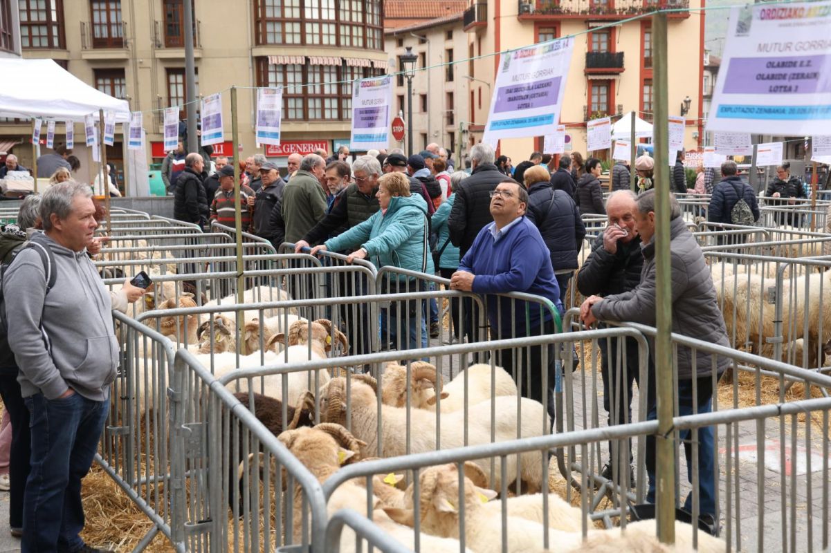 Multitudinario y festivo Artzain Eguna