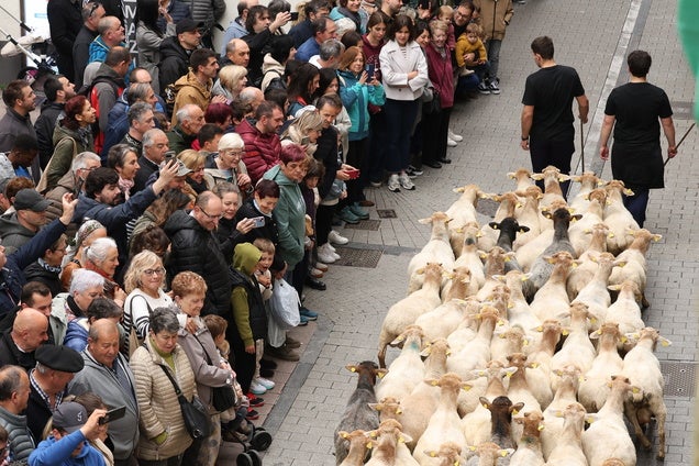 Ordizia celebra el Artzain Eguna