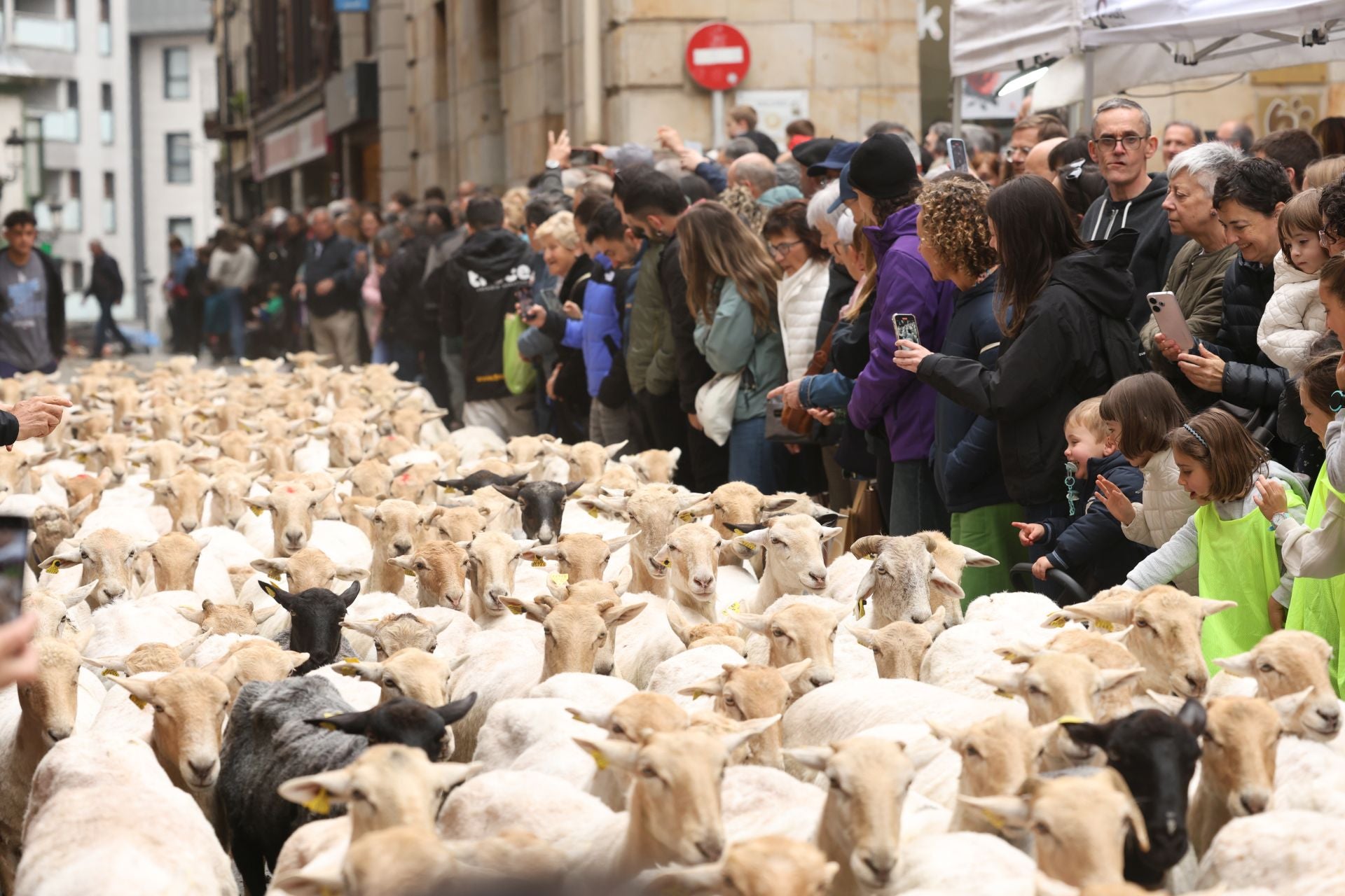 Multitudinario y festivo Artzain Eguna