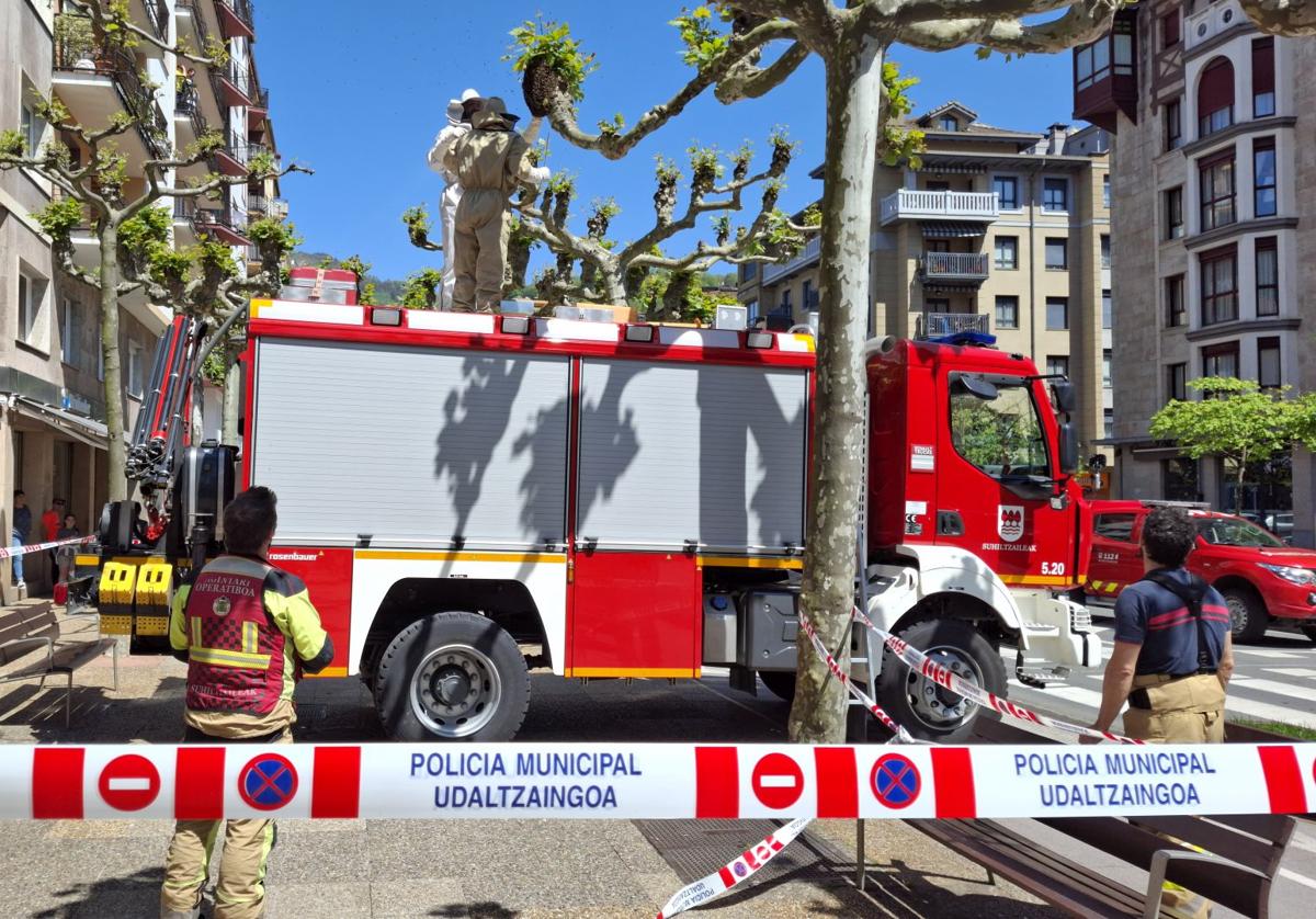 Bomberos retiran una colmena de abejas en el paseo San Francisco