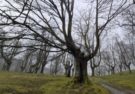 Munagirre, un rincón encantado de Gipuzkoa