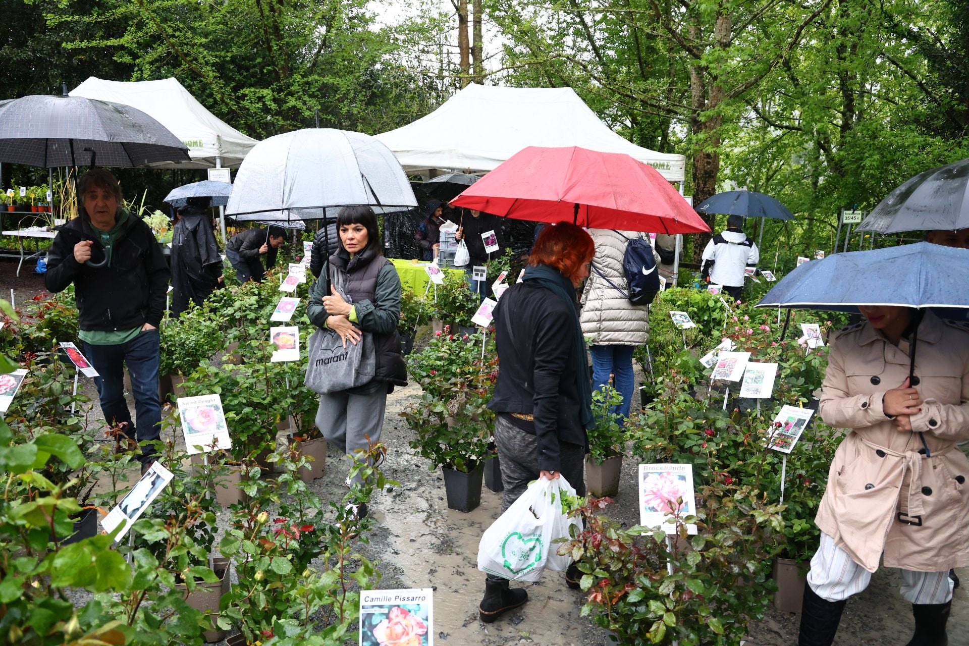 Las flores resaltan sobre los paraguas en la Feria de Plantas de Aia