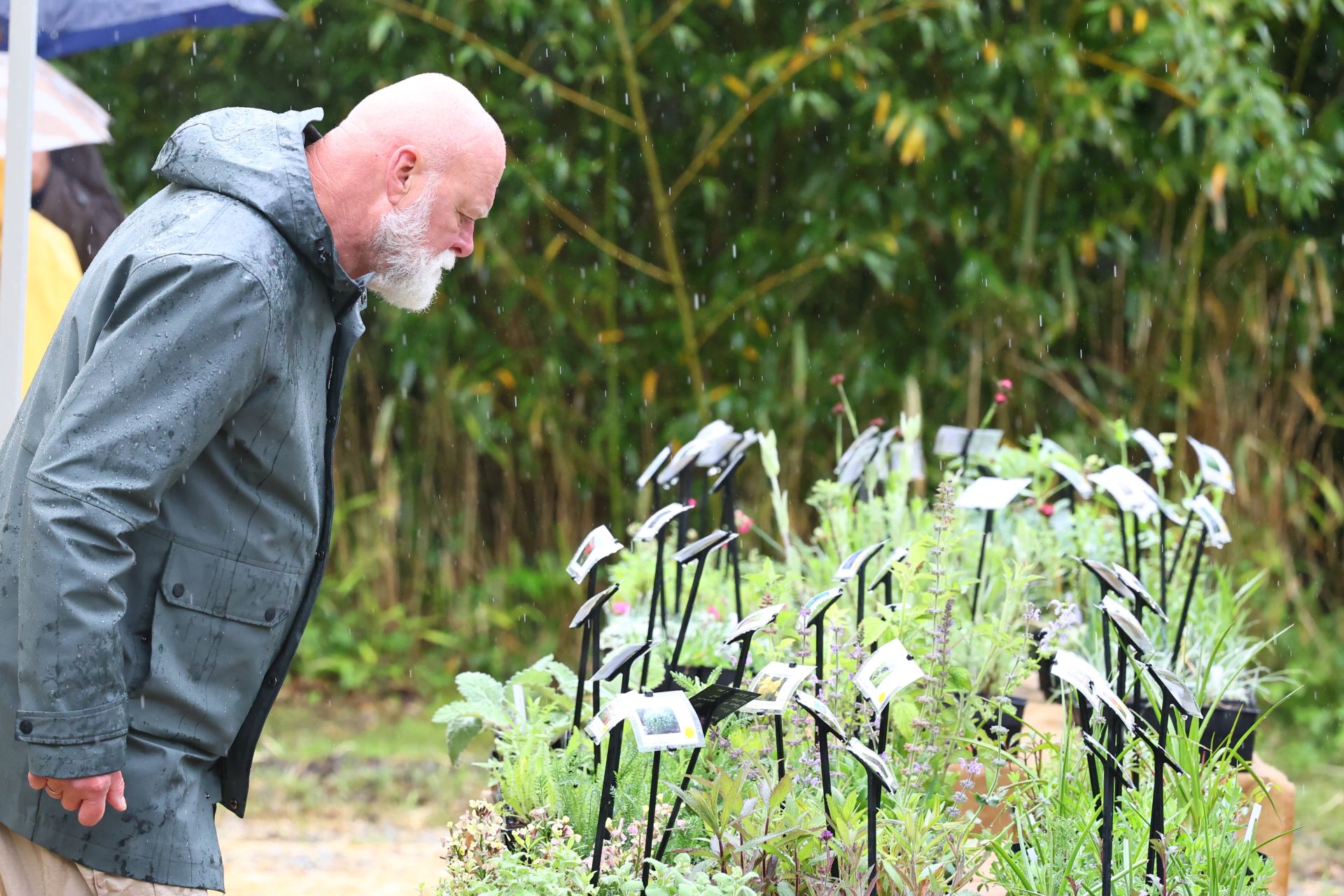 Las flores resaltan sobre los paraguas en la Feria de Plantas de Aia