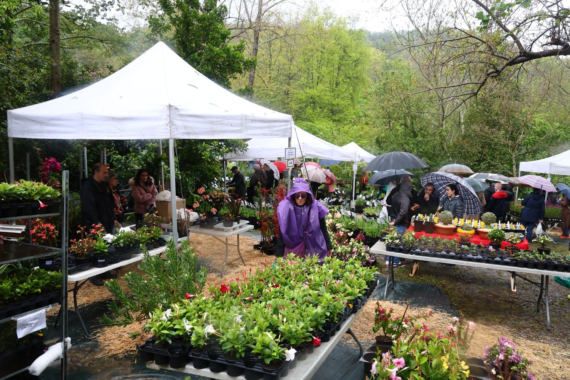 Las flores resaltan sobre los paraguas en la Feria de Plantas de Aia