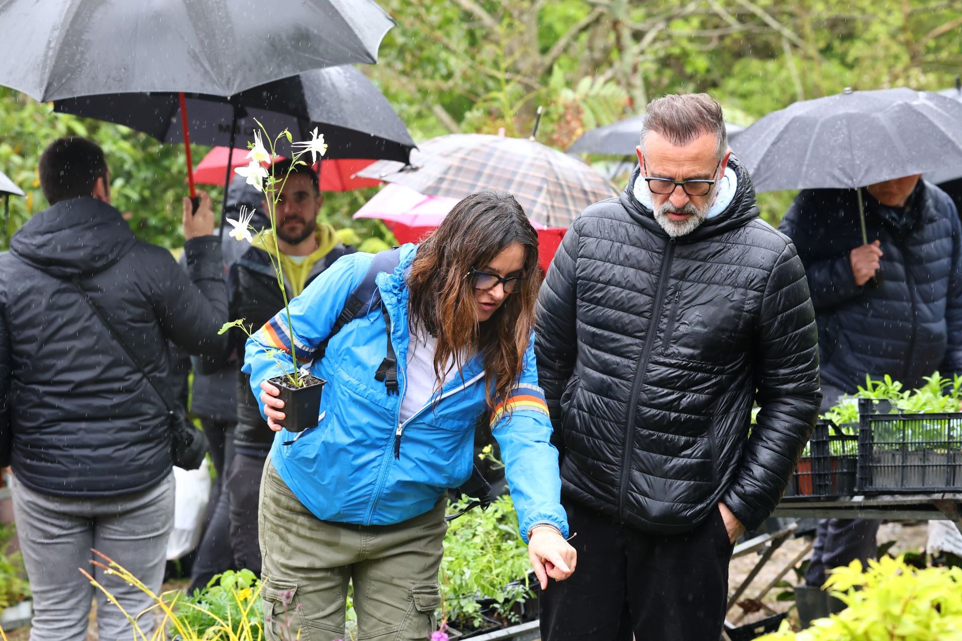 Las flores resaltan sobre los paraguas en la Feria de Plantas de Aia