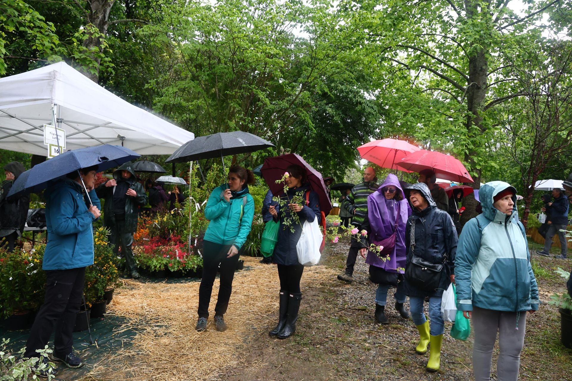 Las flores resaltan sobre los paraguas en la Feria de Plantas de Aia