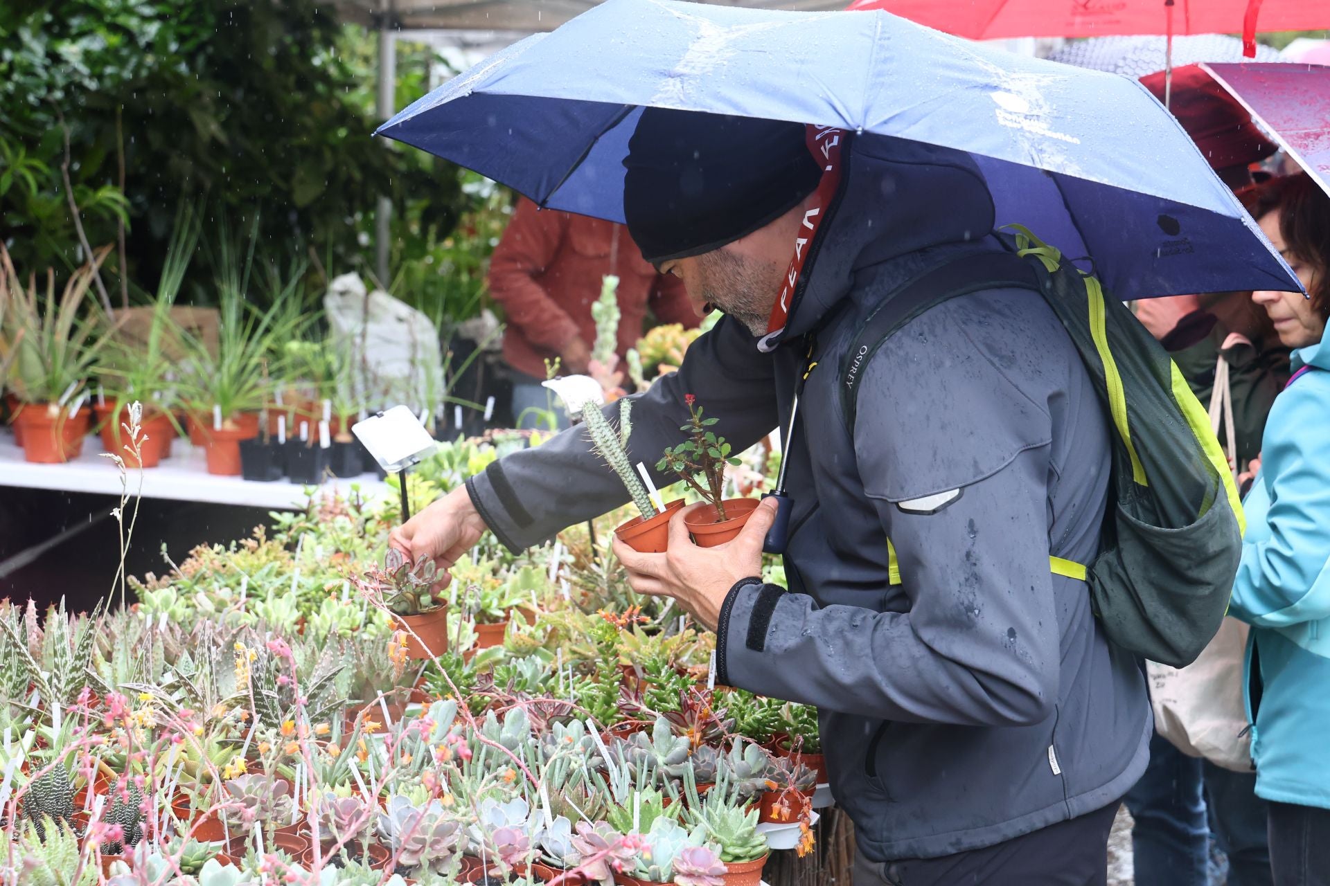 Las flores resaltan sobre los paraguas en la Feria de Plantas de Aia