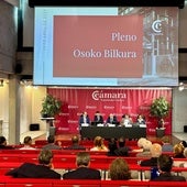 Pleno de la Cámara de Gipuzkoa este martes.