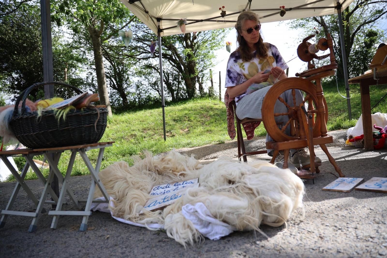 Apertura de los pastos de Aralar