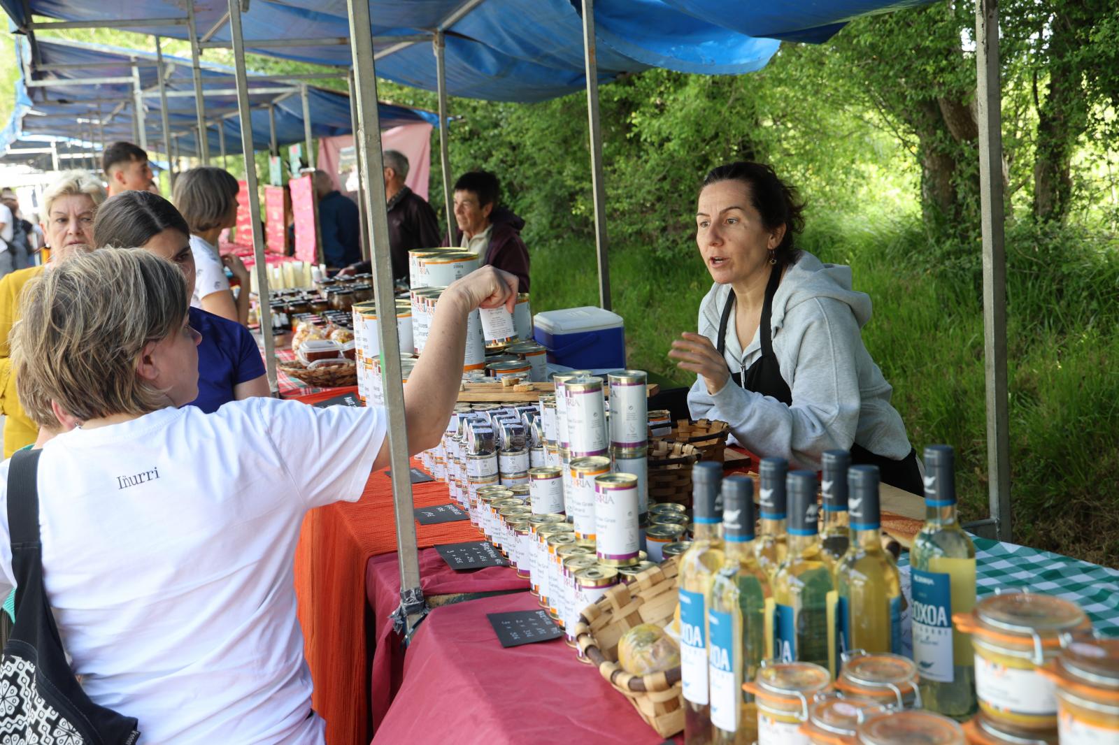 Apertura de los pastos de Aralar