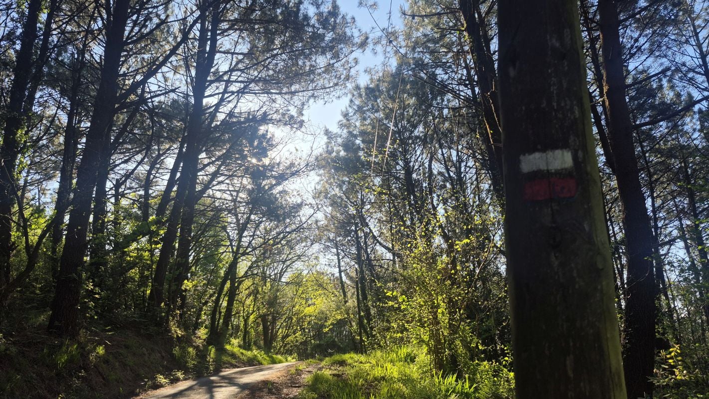 La discreta cima en mitad de la ciudad