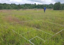 Un investigador del proyecto realizando trabajo de campo.