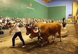 Udaberriko kIntopekoen Idi Dema Sariko txapeldunak.