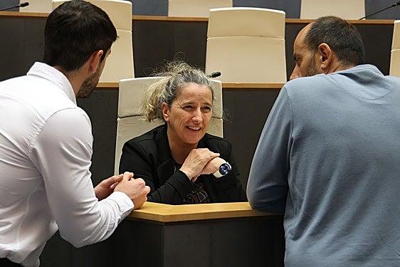 La diputada de Hacienda, Itziar Agirre, sonriente durante el plen de hoy en Juntas Generales.