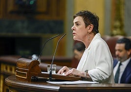 La portavoz de EH Bildu, Mertxe Aizpurua toma el turno de palabra tras la comparecencia del presidente del Gobierno, Pedro Sánchez.