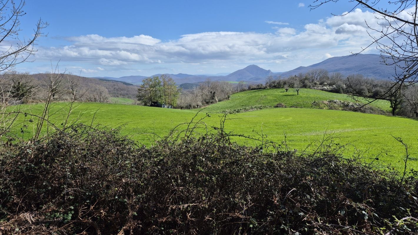 Un rincón silencioso en el valle de Larraun
