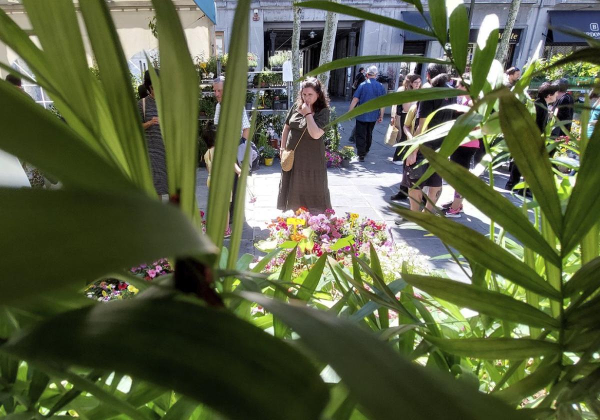 Flores y música en abundancia durante este fin de semana