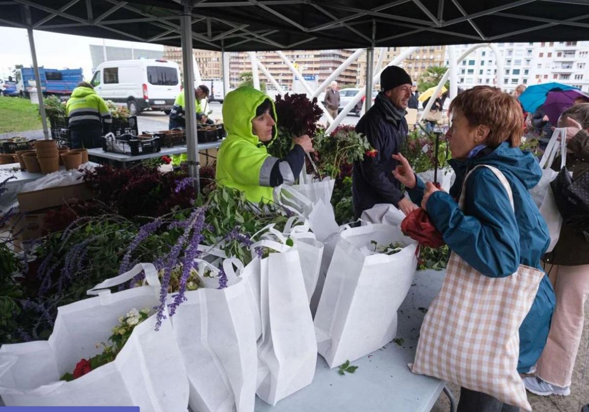 Primer día del reparto gratuito de flores y plantas