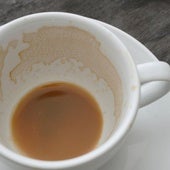 Un tesoro oculto en la taza de café: por qué deberías pensarlo dos veces antes de tirar los posos a la basura