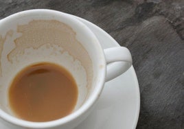 Un tesoro oculto en la taza de café: por qué deberías pensarlo dos veces antes de tirar los posos a la basura