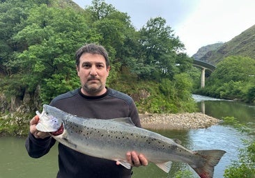 Un salmón de 5.250 gramos, 79 centímetros de largo y 16 de ancho
