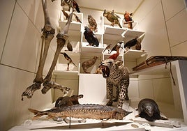 Los mejores planes para disfrutar del fin de semana